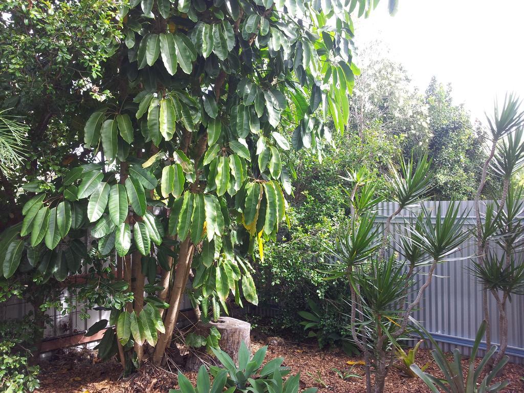 Bluegrass Bnb Bundaberg Kültér fotó